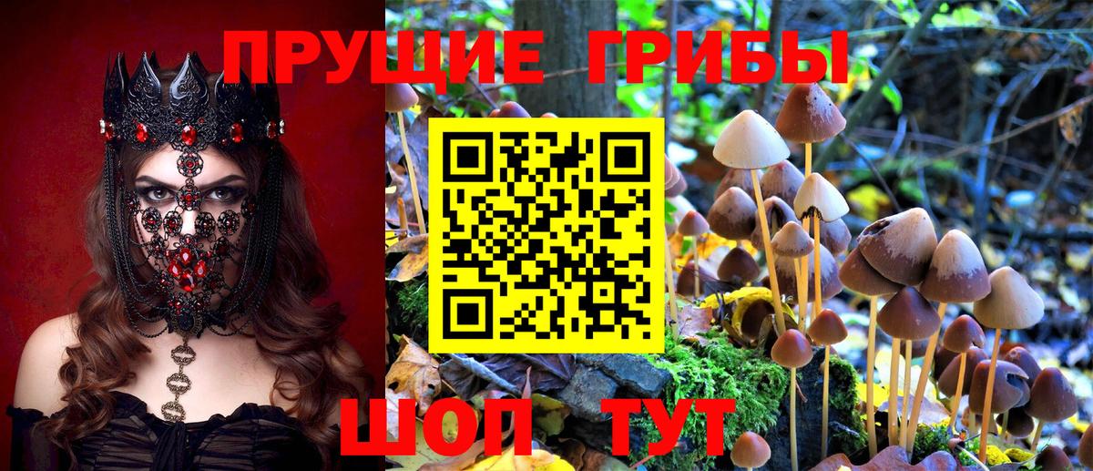 Галлюциногенные грибы GOLDEN TEACHER Топки